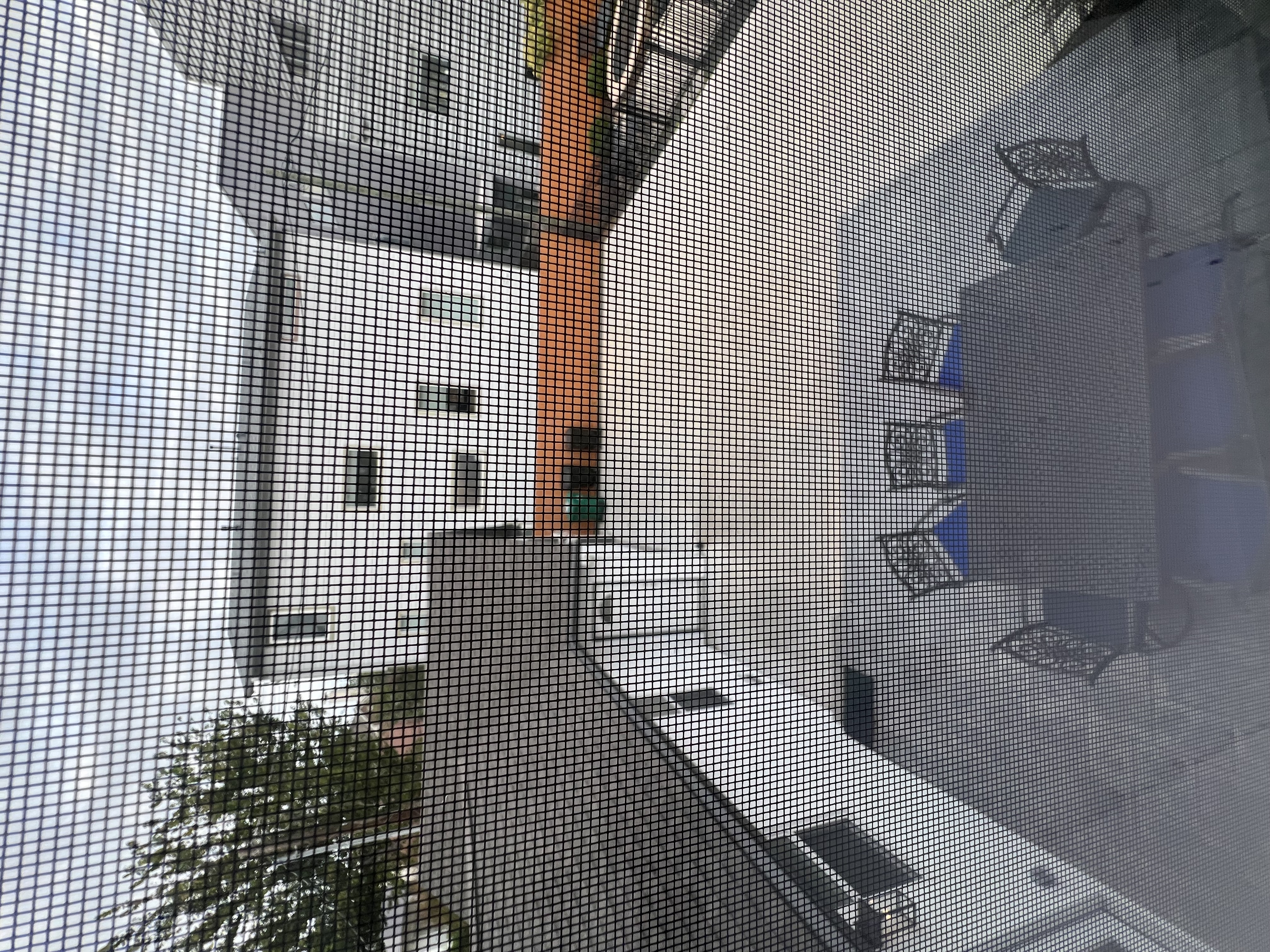 View from female dorm window