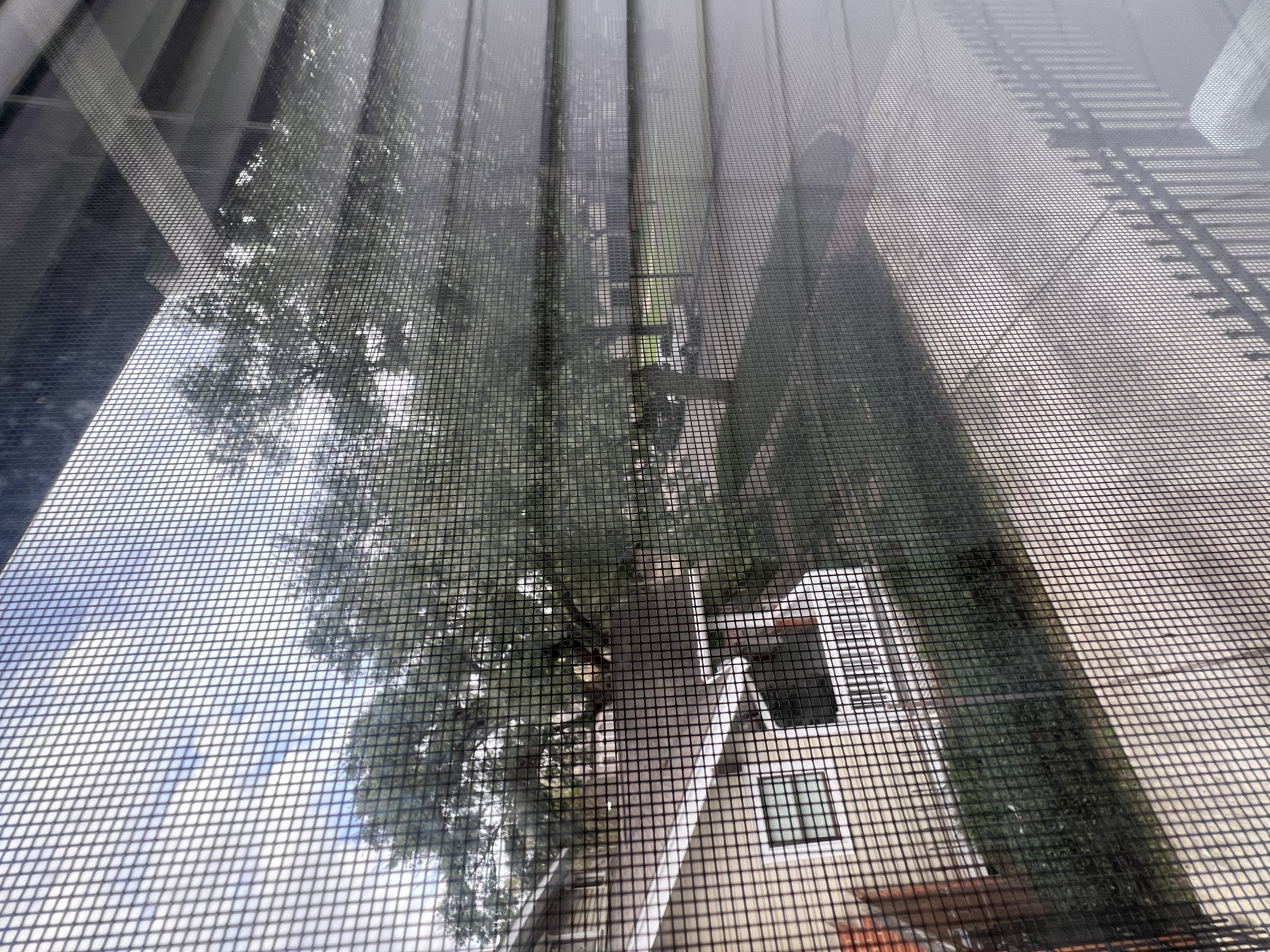 View from mixed dorm